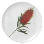 A Single BottleBrush Blossom plates