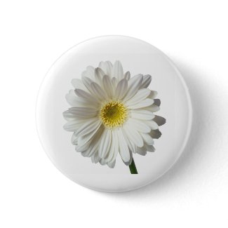 A Single Daisy for you and the Cancer Warrior button