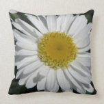 A Single Daisy pillows