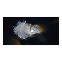 A Single Droplet photo cards by laureenr A Single Droplet photo cards