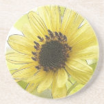 A Single Lemon Yellow Sunflower Coasters
