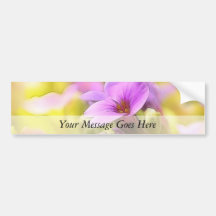 A Single Purple Rock Cress Flower Bumper Sticker