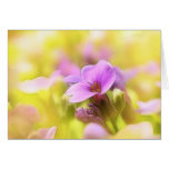 A Single Purple Rock Cress Flower Greeting Card