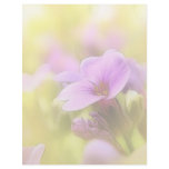 A Single Purple Rock Cress Flower Customized Letterhead
