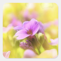 A Single Purple Rock Cress Flower Square Sticker