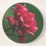 A Single Red Rose Coaster