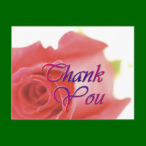 A Single Rose (1A) Thank You Card postcards by bridalbydesign A Single Rose (1A) Thank You Card postcards