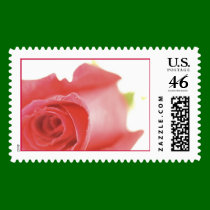 A Single Rose (1C) [CUSTOMIZE] postage