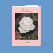 A Single Rose cards