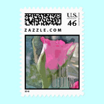 A Single Rosebud Opening #2 stamps