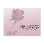 a single silent  pink rose design wedding post cards