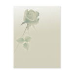a single silent rose post cards