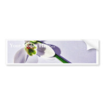 A Single Snowdrop On The Table bumper stickers by lifesphere A Single Snowdrop On The Table bumper stickers