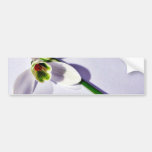 A Single Snowdrop On The Table Bumper Stickers