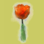 A single Tulip-Orange t-shirts