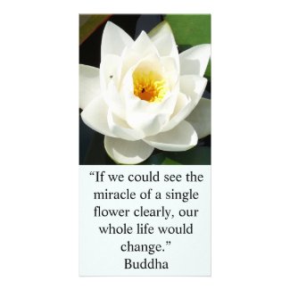 A Single White Flower Card