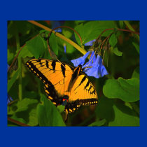 a sip of blue posters by zack12349 a sip of blue posters