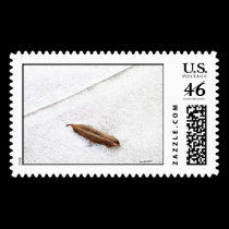 A Skif of Snow stamps
