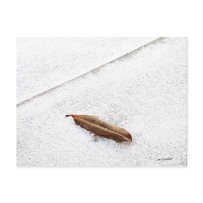 A Skif of Snow Post Cards by bhbphotos