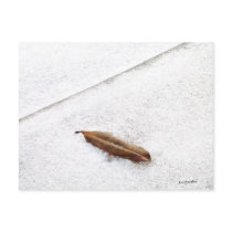 A Skif of Snow postcards by bhbphotos A Skif of Snow postcards