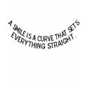 a smile is a curve t-shirts by bubblegumface a smile is a curve t-shirts