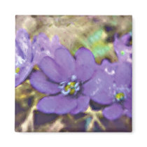 A Smile of Liverleaf magnets by SophiaDeer A Smile of Liverleaf magnets