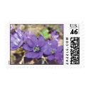 A Smile of Liverleaf postage by SophiaDeer A Smile of Liverleaf postage