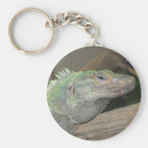 A smug lizard.  (Are you looking at me?) Keychains