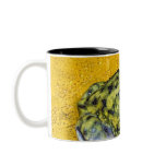 A spadefoot toad mugs