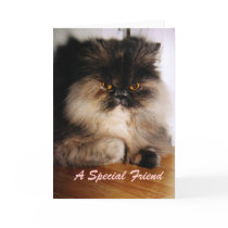 A Special Friend cards by Spearline A Special Friend cards