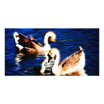 A Special Moment photo cards by laureenr A Special Moment photo cards