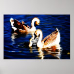 A Special Moment posters