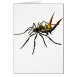 A spined orb-weaving spider greeting card