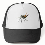 A spined orb-weaving spider trucker hats