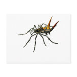 A spined orb-weaving spider post card