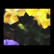 A Splash of Color canvas prints