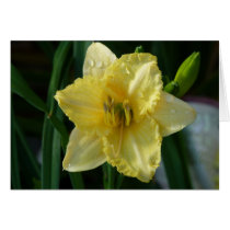 A springtime flower cards