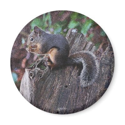 A SQUIRREL MOMENT ~ Magnet by RavenSpiritPrints