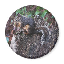 A SQUIRREL MOMENT ~ Magnet by RavenSpiritPrints A SQUIRREL MOMENT ~ Magnet