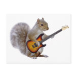 A Squirrel Playing Guitar Post Card
