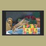A squirrel's Christmas box stickers