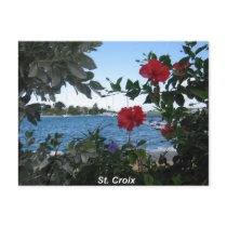 A St. Croix Kind of Day Post Card