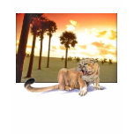 A stalking cougar in Miami.. See Women Tee's A stalking cougar in Miami.. See Women Tee's