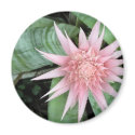 A Star is Born magnets