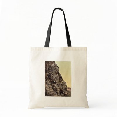 A steep climb, Tyrol, Austro-Hungary rare Photochr Tote Bags by photochrom