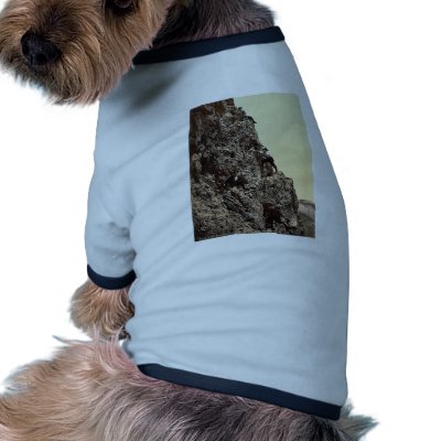 A steep climb, Tyrol, Austro-Hungary rare Photochr Pet Clothes by photochrom