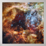 A stellar nursery known as R136