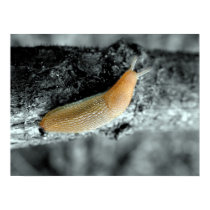 A Sticky Situation posters by Brian_Simes A Sticky Situation posters
