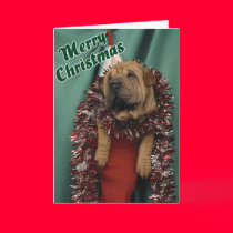 A Stocking Pup cards