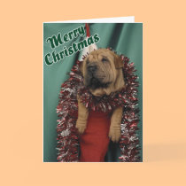 A Stocking Pup cards